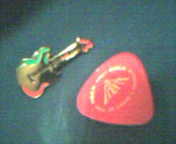 pin and pick